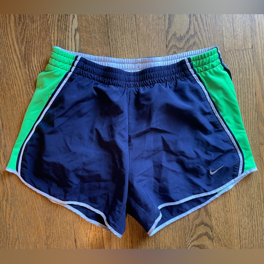 Nike Blue and Green Athletic Shorts